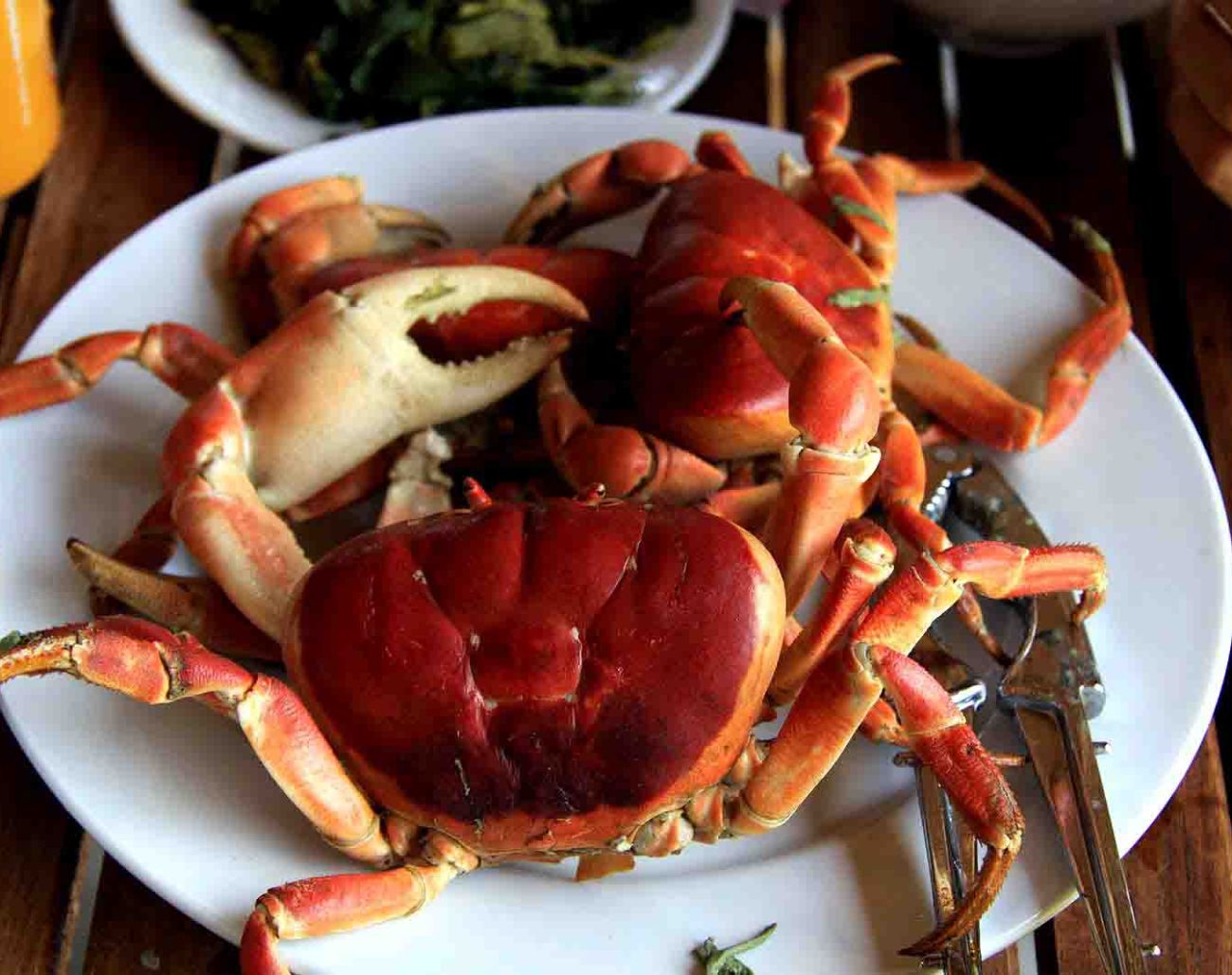 Cua đá đặc sản Cù Lao Xanh