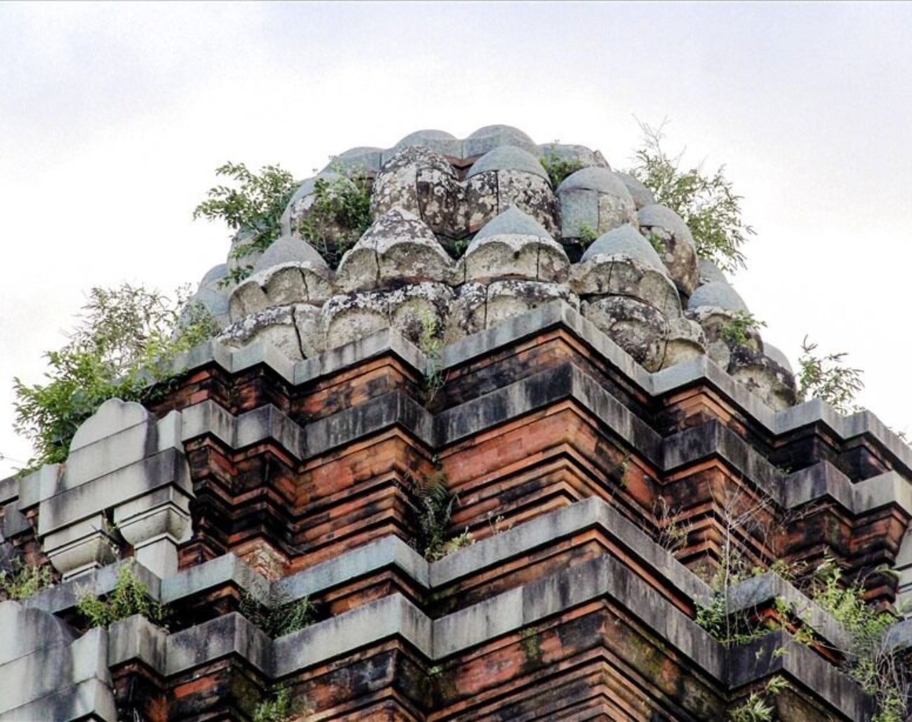 Mái tháp hình hoa sen Tháp Dương Long