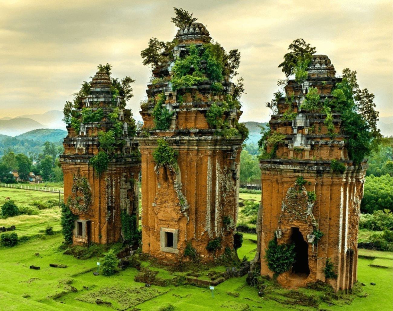 Toàn cảnh cụm Tháp Dương Long – tháp Chăm cao nhất Việt Nam