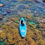 Vẻ đẹp tựa “Maldives Việt Nam” của Kỳ Co với biển xanh, núi đá và không gian yên bình khiến nơi đây luôn nằm trong top điểm đến nổi bật của Quy Nhơn.