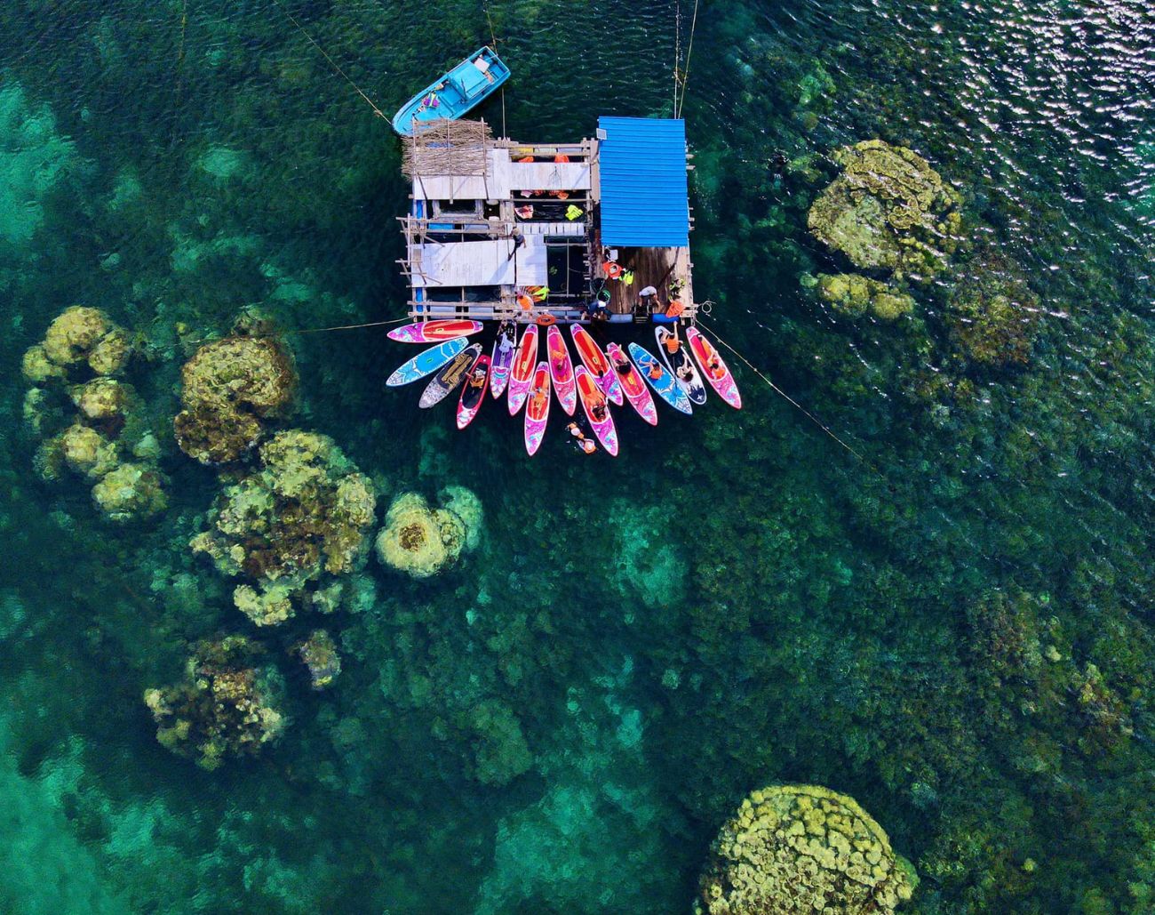 Hoạt động lặn biển ngắm san hô quanh Kỳ Co Quy Nhơn mang đến trải nghiệm sinh động, thu hút du khách yêu thích biển.