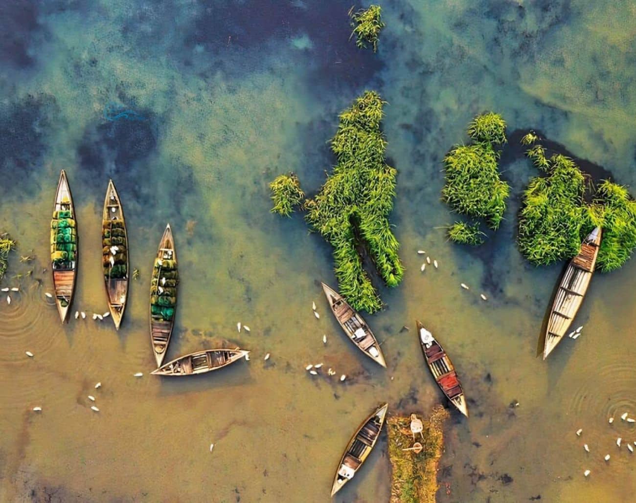 Đầm Trà Ổ – Bức tranh thiên nhiên yên bình giữa lòng Bình Định