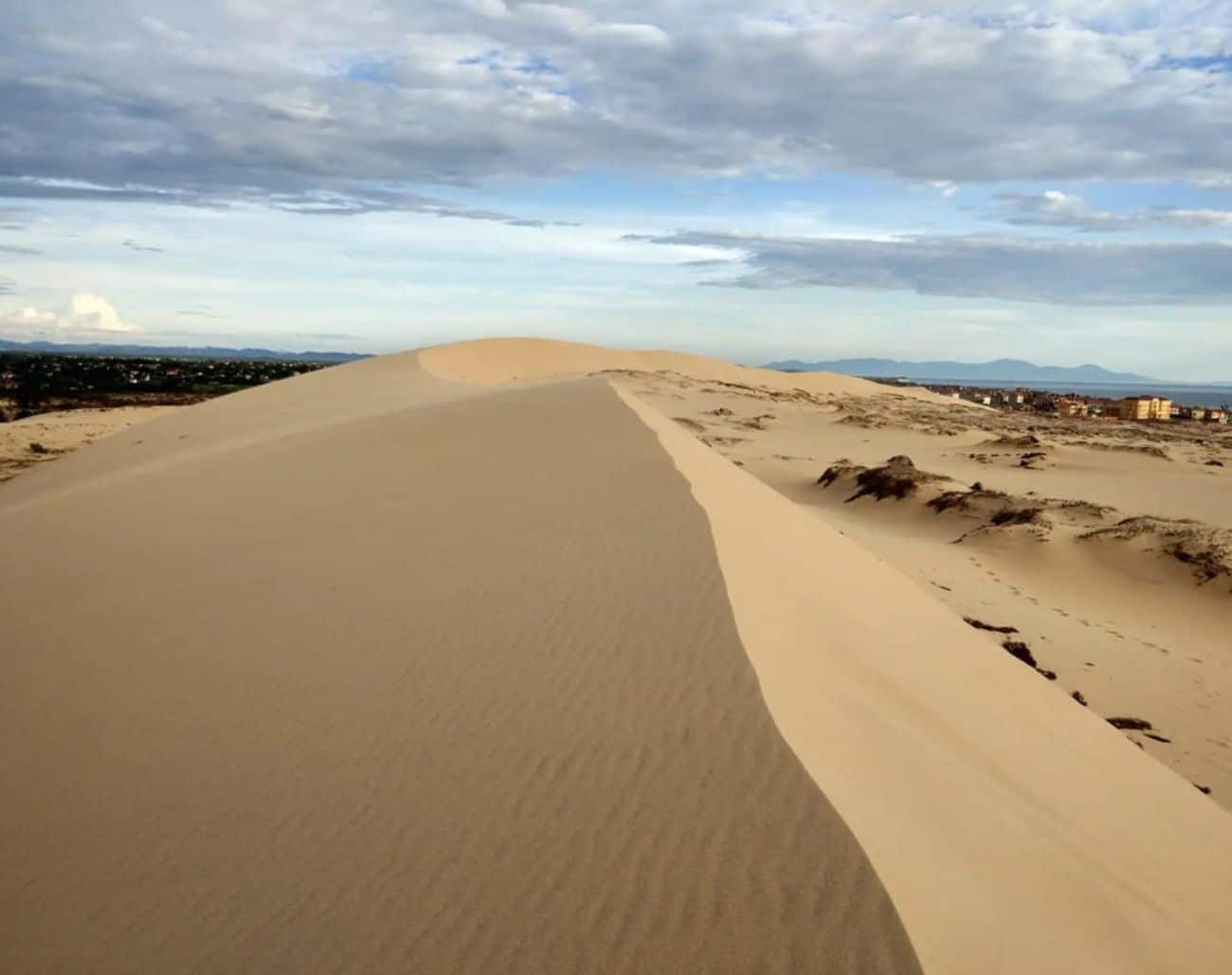 Đồi Cát Phương Mai – “Tiểu sa mạc” giữa lòng Quy Nhơn